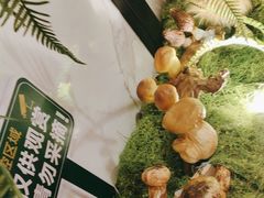 -野·大山里野生菌石锅土鸡(益田假日店)