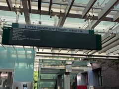 -香港大学