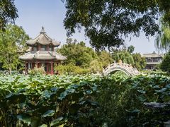 -莲池书院博物馆