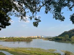 -风云岭森林公园