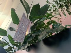 -渔芙南(三里屯店)