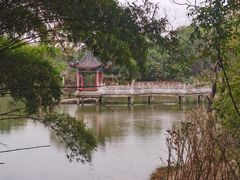 -青龙山国家森林公园