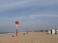 -席凡宁根海滩