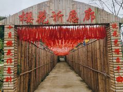 -绵阳盛世樱花悠乐谷