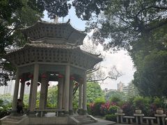 -荔湾湖公园