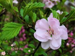 -哈尔滨师范大学(江南校区)
