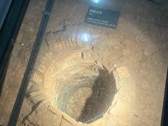 -南越王博物院(王宫展区)
