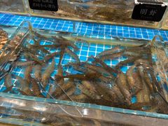 -加餐海鲜自助(集美银泰百货店)