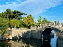 -莫内艺术岛海景咖啡