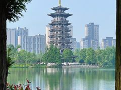 -洋湖国家湿地公园