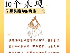 -荔康动物医院(康王北路店)