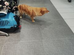 -荔康动物医院(康王北路店)