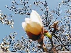 -木塔寺遗址生态公园