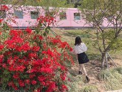 -小南山公园