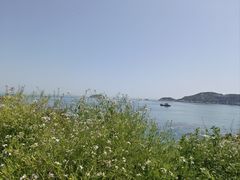 -枸杞岛