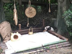 -蛙秘书麻椒鱼(包家巷店)