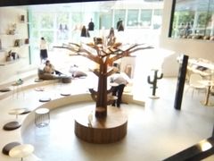 -飞行喵MR PILOT|猫舍·猫咖(静安大融城店)