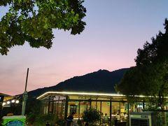 -蘇河湾·新鲁菜·泰山宴(泰山店)