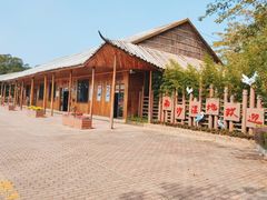 -大湾区中央湿地公园