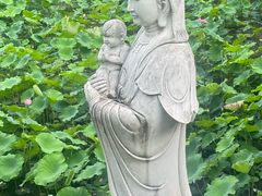 -长洲岛