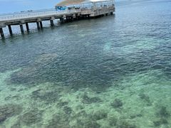 -三亚西岛海洋文化旅游区
