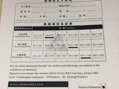 -暖阳宠物医院·犬猫康复中心·骨科