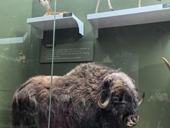 -国家自然博物馆