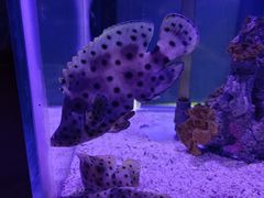 -太平洋海底世界