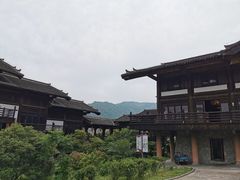 -大唐贡茶院