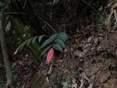 -大罗山风景区