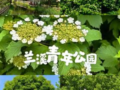 -兰溪青年公园