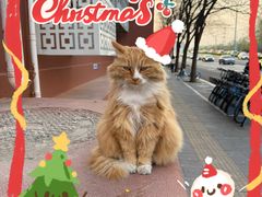 -北京市海淀实验中学(紫竹院路校区)