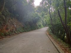 -小南山公园