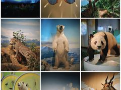 -陕西自然博物馆