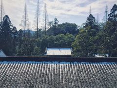 -白鹿洞书院