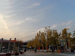 -金陵图书馆