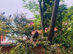 -黔灵山公园-南门售票处