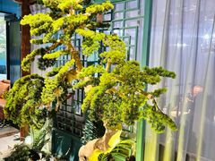 -渝乡辣婆婆·川菜 水煮鱼(中山西路店)