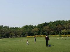 -白鹭洲公园