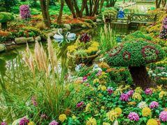 -上海共青森林公园