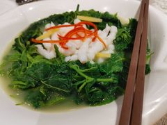 墨鱼丝浸桑叶-香云轩·顺德菜(香云纱园林酒店店)