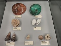 -天津古林古海岸遗迹博物馆