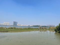 -立新湖公园