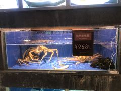 俄罗斯板蟹-徐记海鲜(陕西历史博物馆|明德门店)