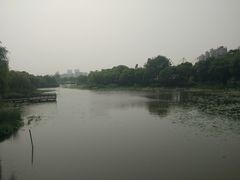 -新江湾城公园