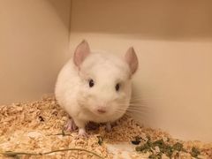 -龙猫仔乐园(惠福东路店)