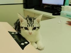 -爱诺耐芙动物医院(万博店)