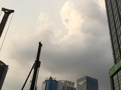 -华莱士·全鸡汉堡(宝丰路天骄店)