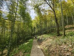 -上海佘山国家森林公园天马山园