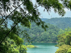 -佛山市三水区大南山森林公园